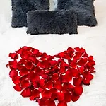 Red Rose Διαμέρισμα Πράγα