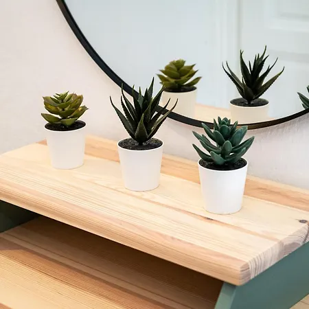 Lejlighed Red Rose *