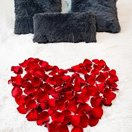 Red Rose Lejlighed Prag