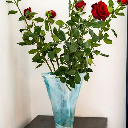 Red Rose Lejlighed Prag