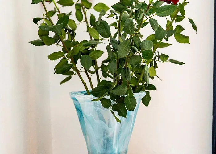 Red Rose Διαμέρισμα Πράγα