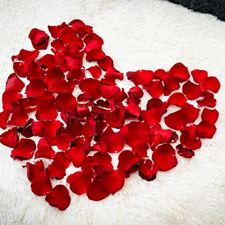 Red Rose Prag