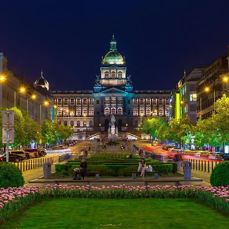 Red Rose Prag