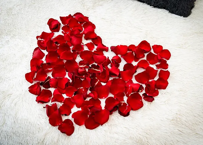 Red Rose 프라하
